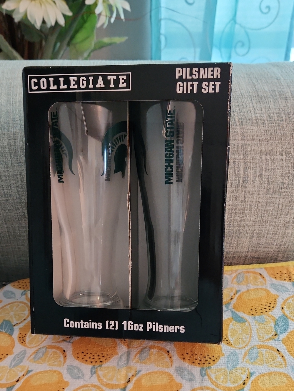 Michigan State Green Pilsner Glass Gift Set